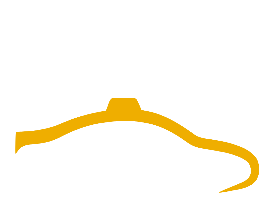 Hever Cars